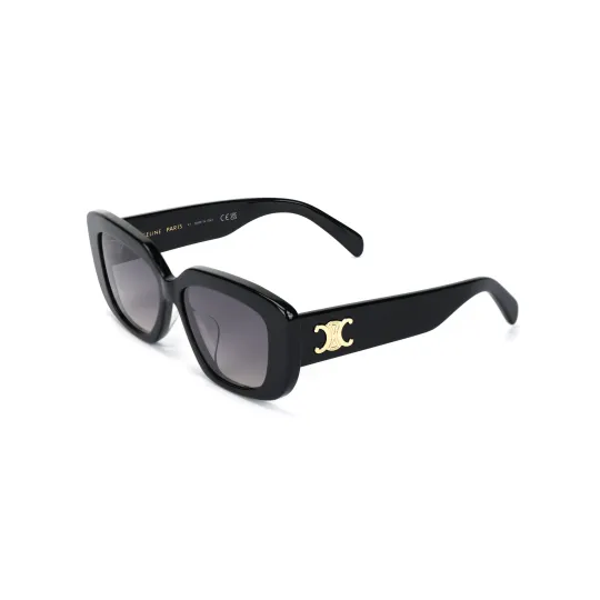 CELINE Eyewear Cat Eye Frame Sunglasses