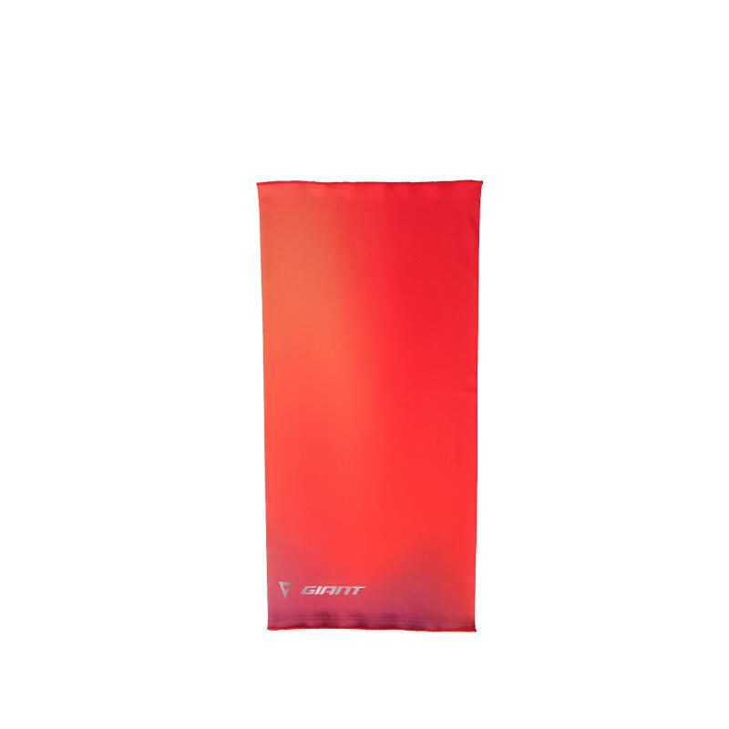 GIANT Windproof & Dustproof Thermal Masks Face Masks Sports Unisex Polyester