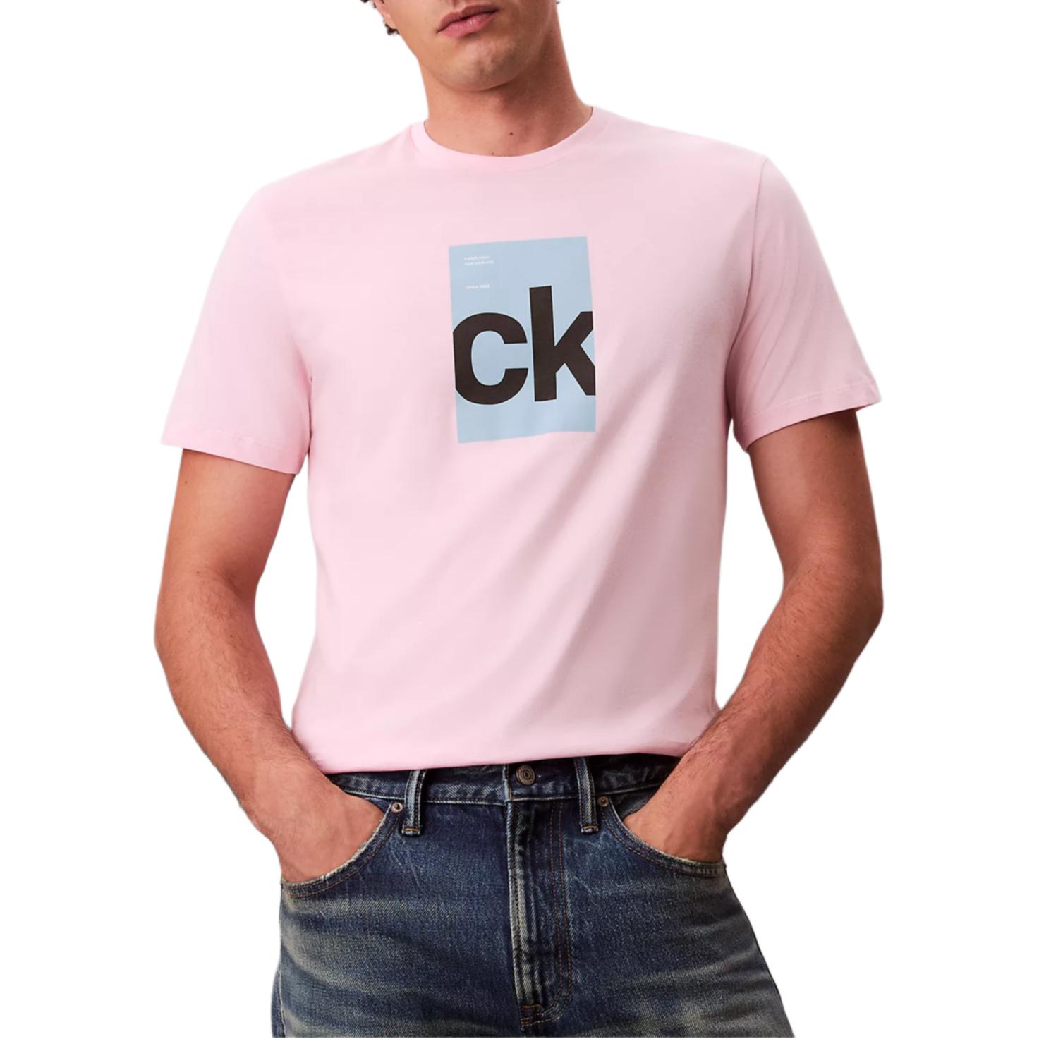 Мужская футболка CALVIN KLEIN (черная)