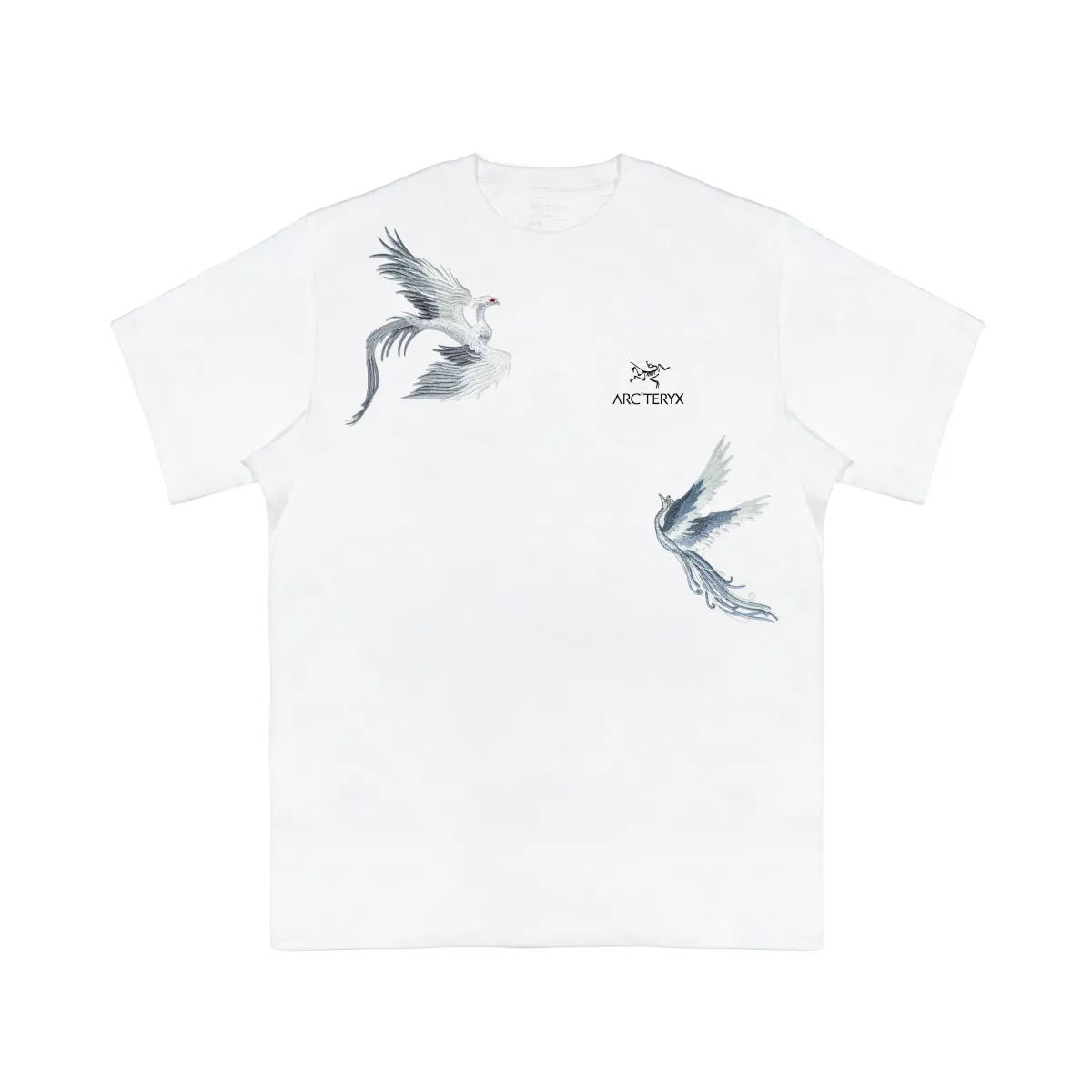 Arc'teryx KRAGG Extraordinary T Shirt Unisex