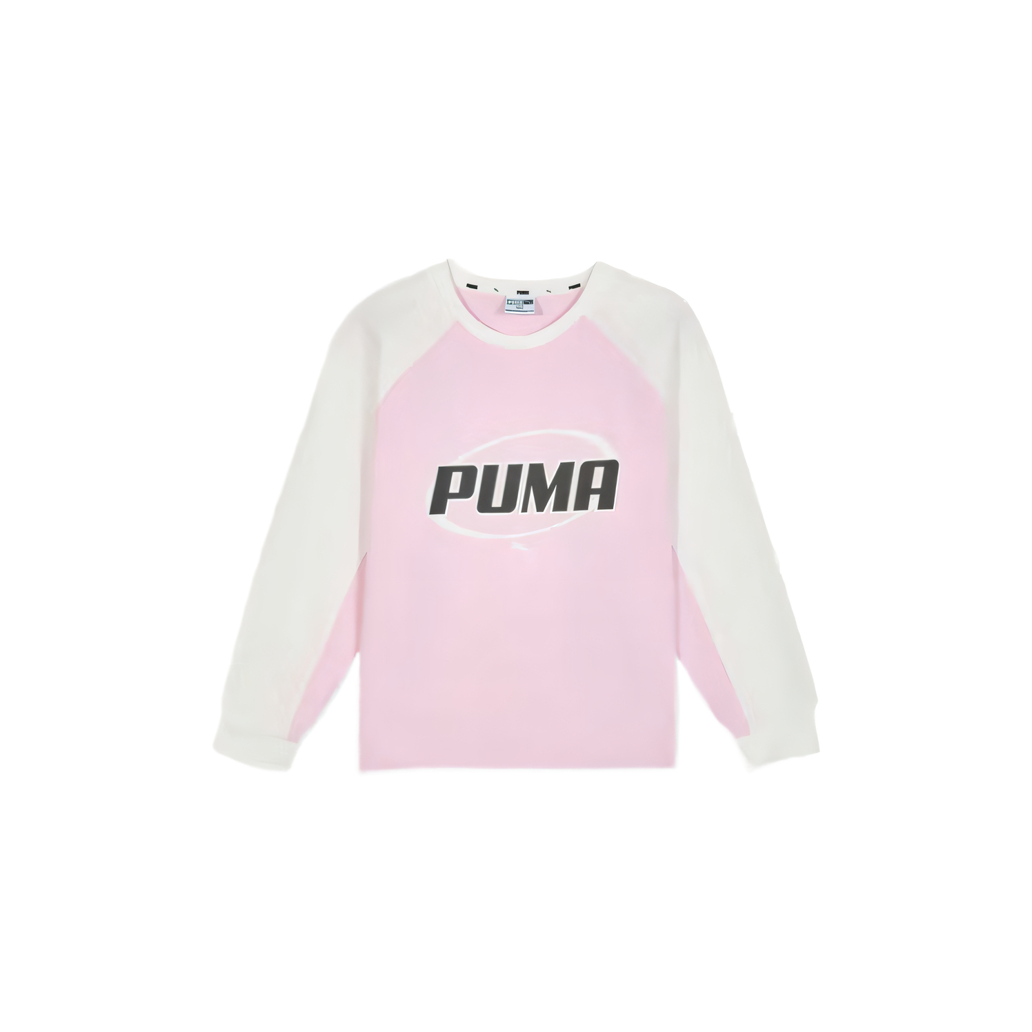Лонгслив PUMA Colorblock (мультиколор)