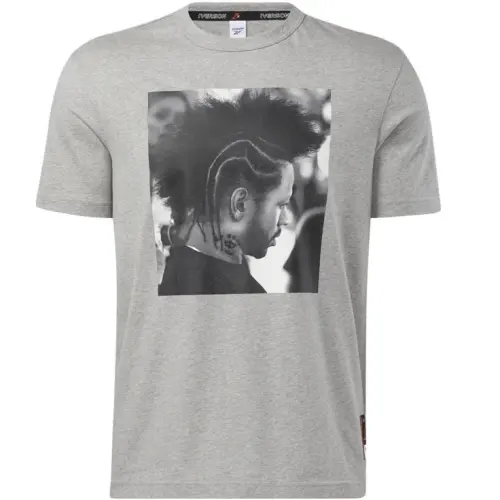 Reebok T Shirts Men's Gray Crew Neck Moderate Straight Fit