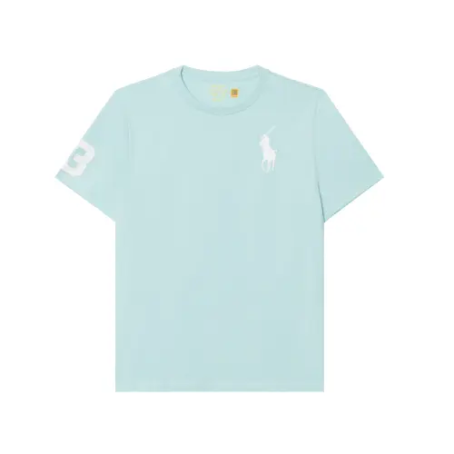Polo Ralph Lauren Blue children's T-shirt with a round collar, children's clothing, with your logo imprint