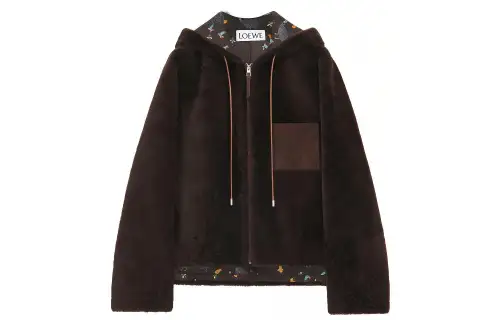 LOEWE FW23 Fur Women's Dark Brown