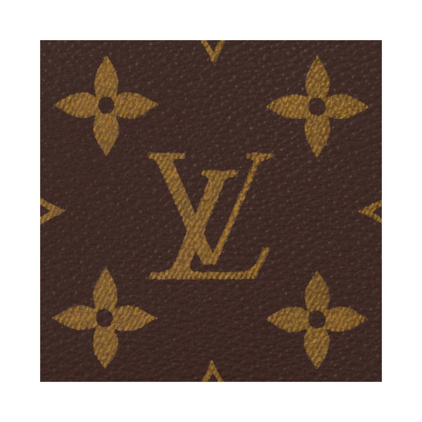 Мужское портмоне Louis Vuitton Multiple (коричневый) — фото 5