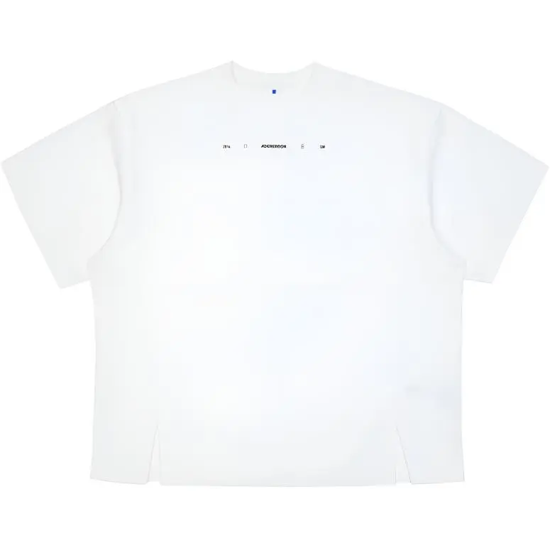 ADER ERROR Logo print T shirt