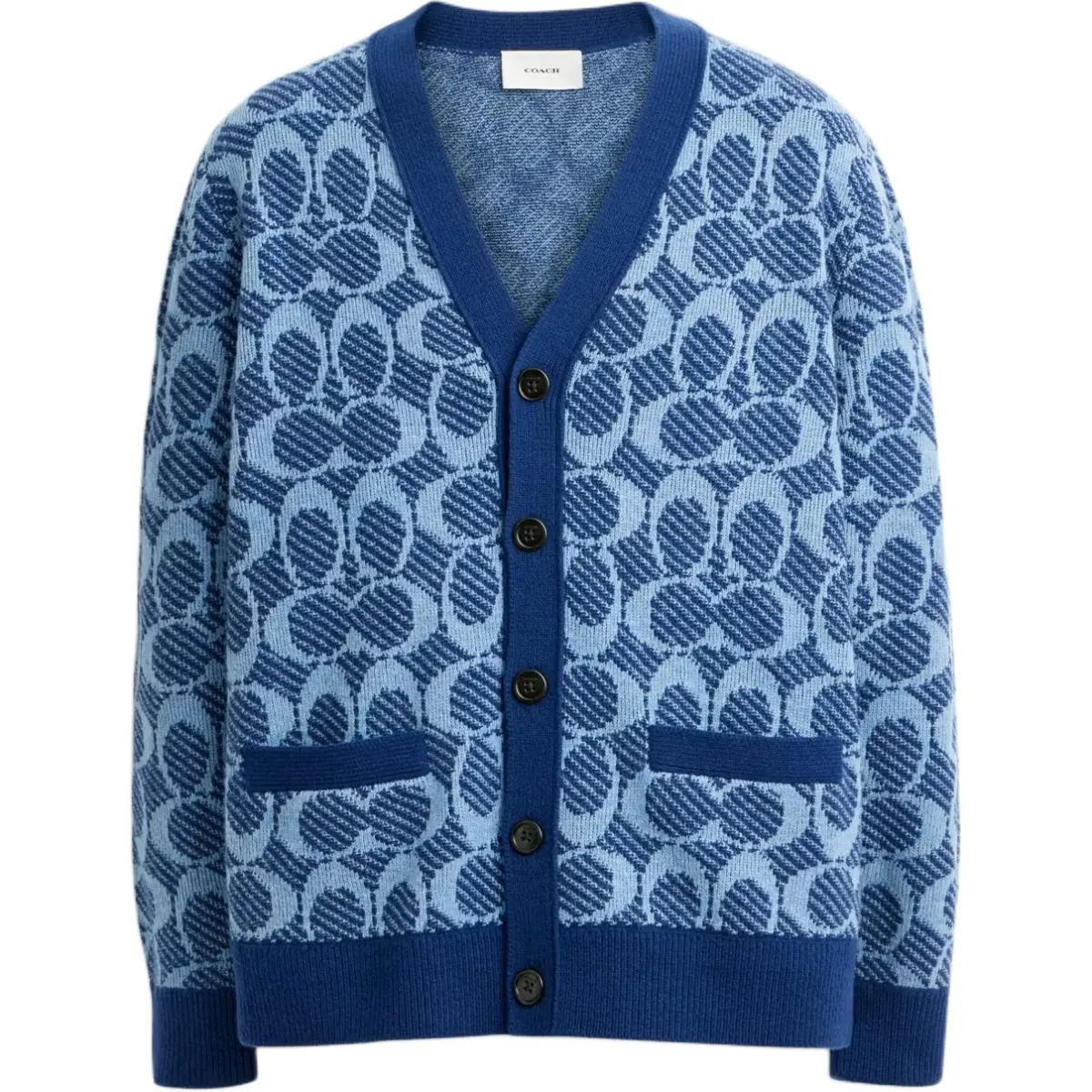 COACH Sweaters Men's Blue V-neck Moderate