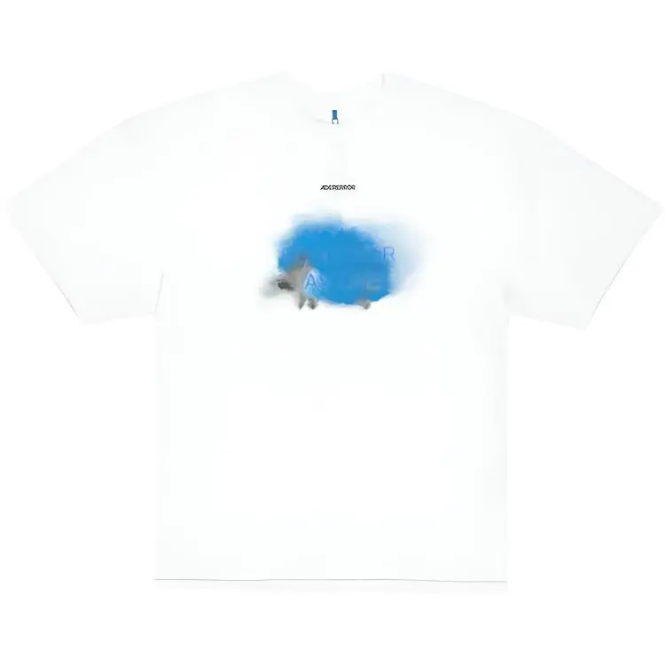 ADER ERROR Graphic print T shirt