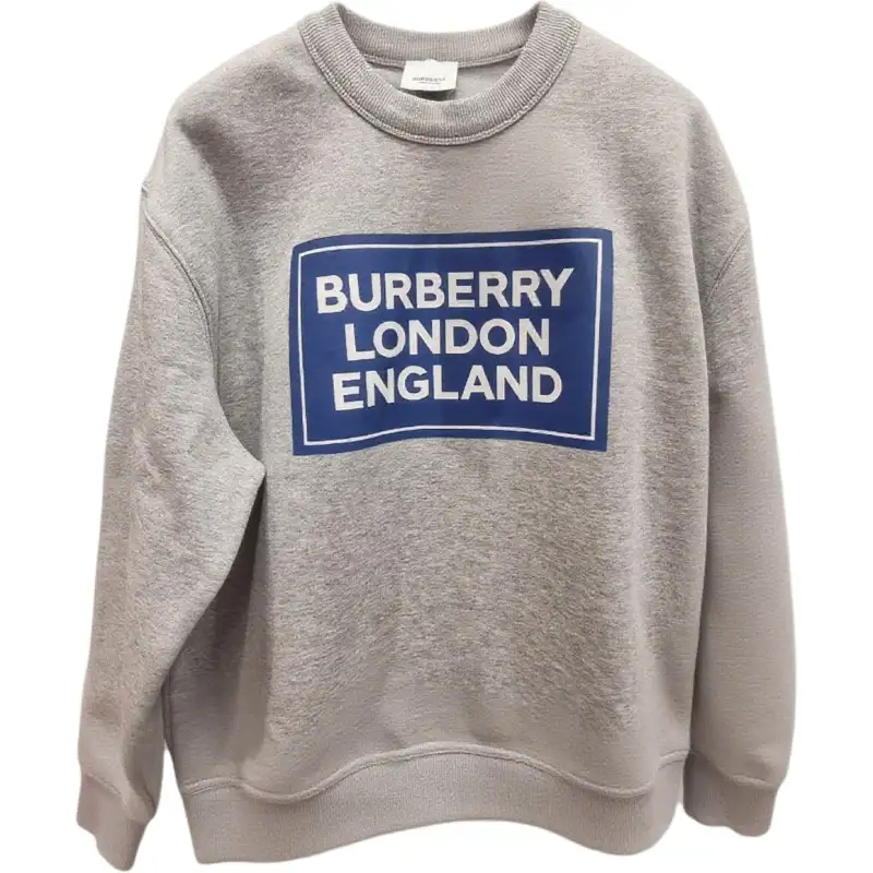 Burberry Sweatshirts Men's Gray Crew Neck Moderate Straight Fit