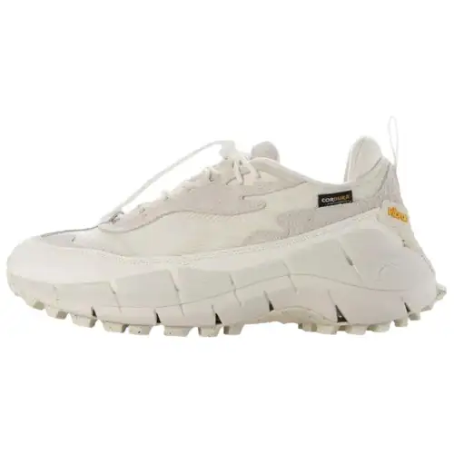 Reebok ZIG KINETICA 2.5 EDGE Casual Running Shoes Unisex Beige