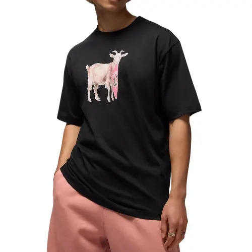 Jordan Men's T Shirt
