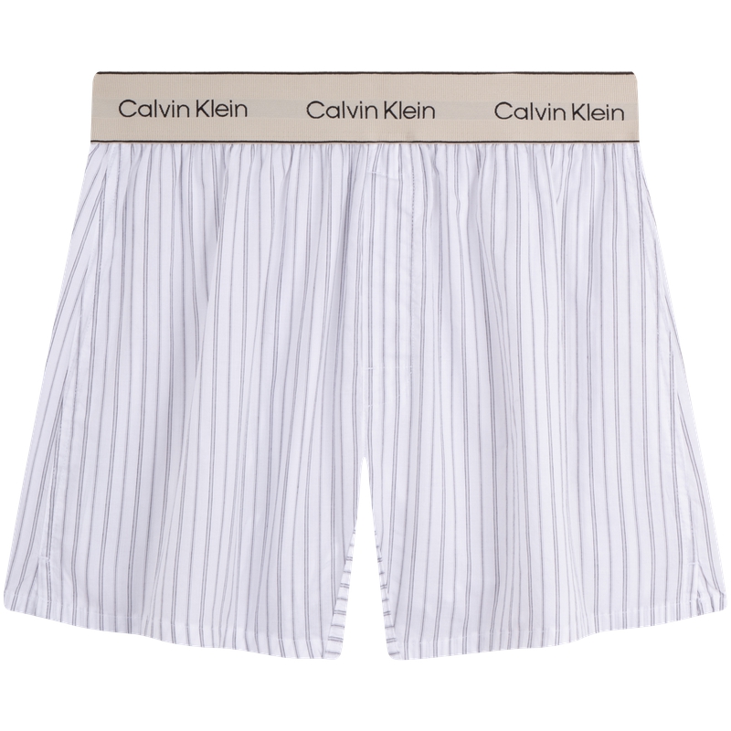 Мужские трусы CALVIN KLEIN (полосатые)