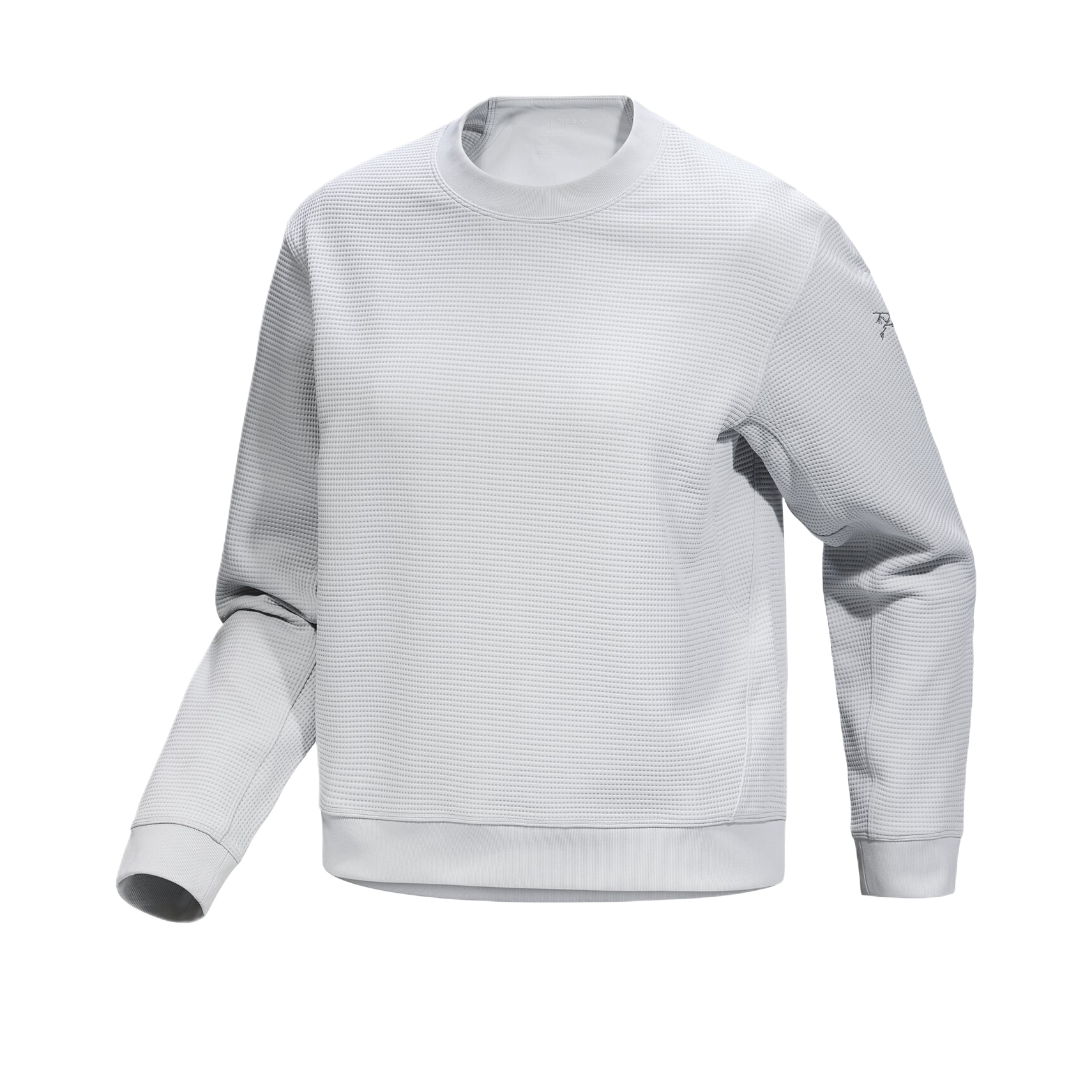 Женское худи Arcteryx OLERA CREW NECK PULLOVER Logo (черное)