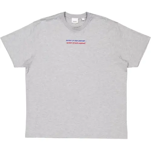 Burberry T Shirts Men's Light Gray Mixed Color Crew Neck Moderate Straight Fit