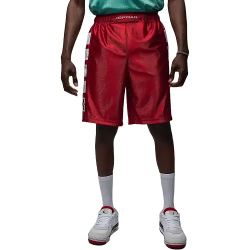Jordan Brooklyn Cat Scratch Men's Shorts