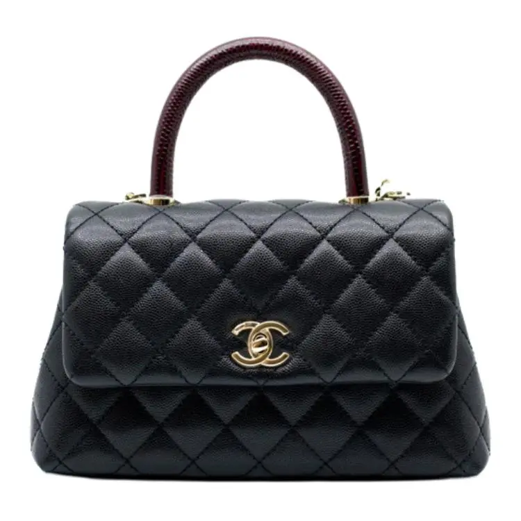 CHANEL Coco Handle Grain Calfskin & Lizard Embossed Calfskin & Gold Metal Shoulder Bag, Crossbody Bag, Handbag Women's