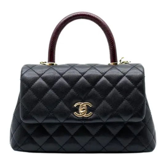 CHANEL Coco Handle Grain Calfskin & Lizard Embossed Calfskin & Gold Metal Shoulder Bag, Crossbody Bag, Handbag Women's