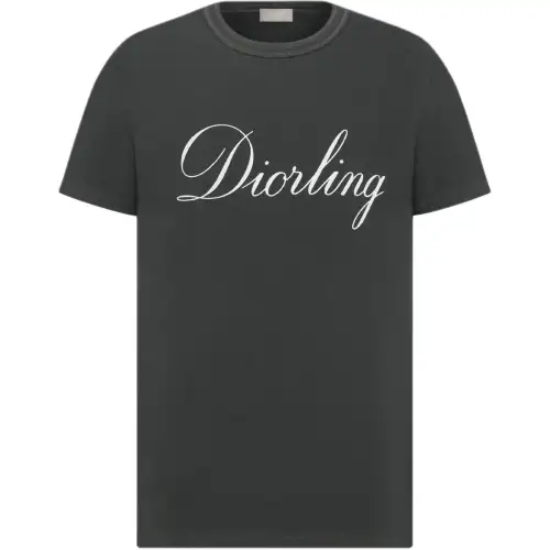 DIOR T Shirts Men's Gray Crew Neck Moderate Straight Fit