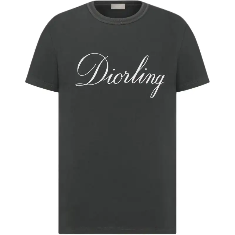 DIOR T Shirts Men's Gray Crew Neck Moderate Straight Fit