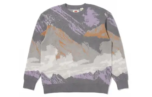 Levis FW22 Men's Stay Loose Crewneck Sweater Gray