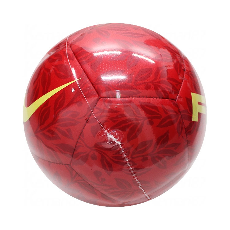 Nike Soccer Ball