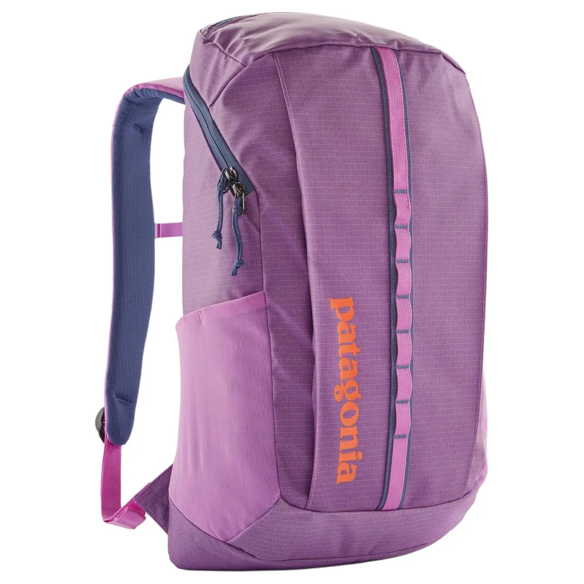 Patagonia Black Hole Recycled Polyester Backpacks Unisex Purple