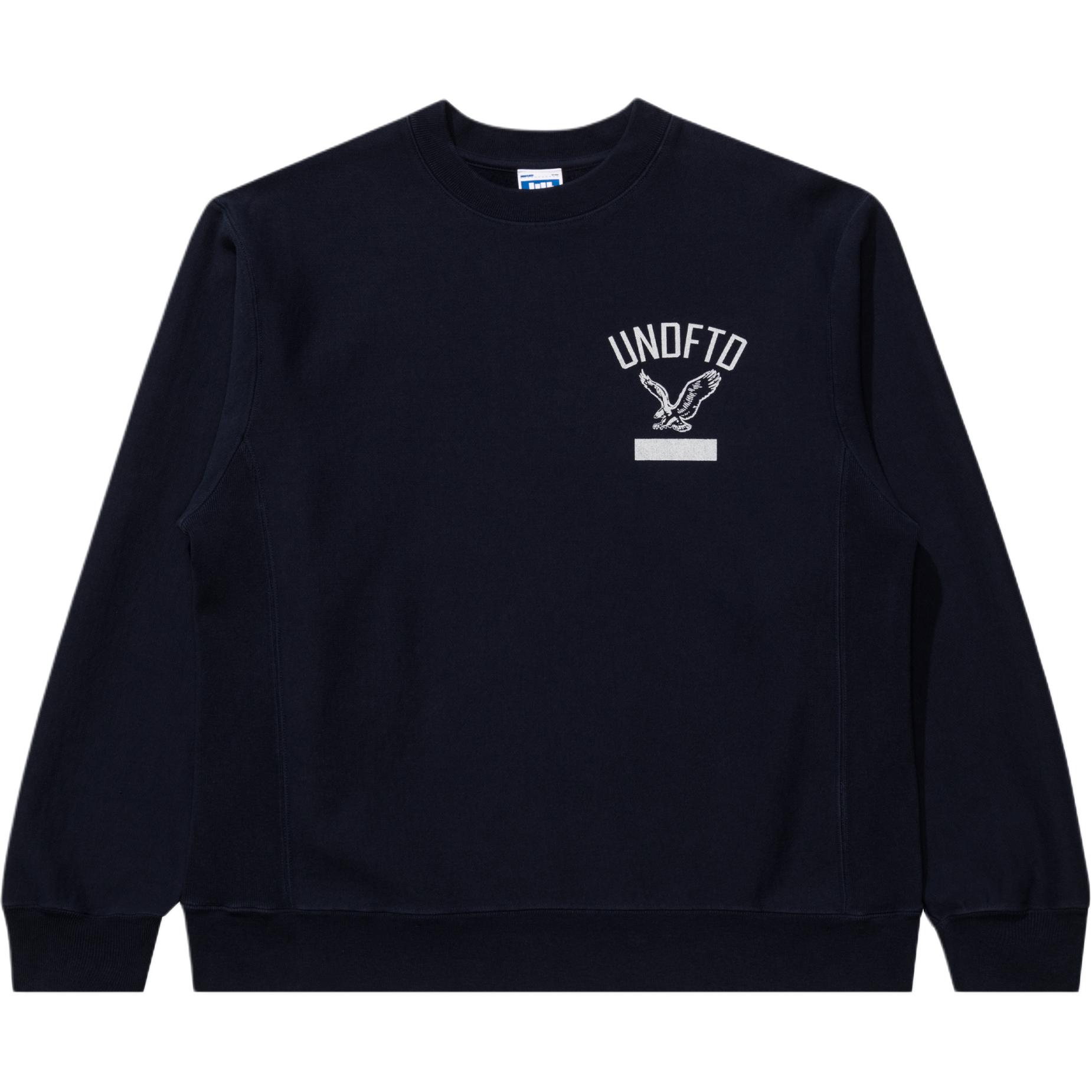 Свитшот UNDEFEATED FW25 (серый)