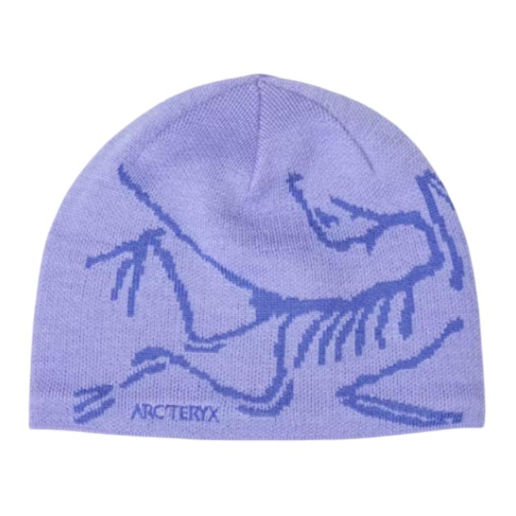 Унисекс шапка Arcteryx (фиолетовая)