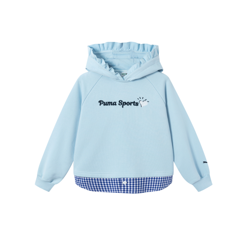 Худи PUMA (разноцветное)