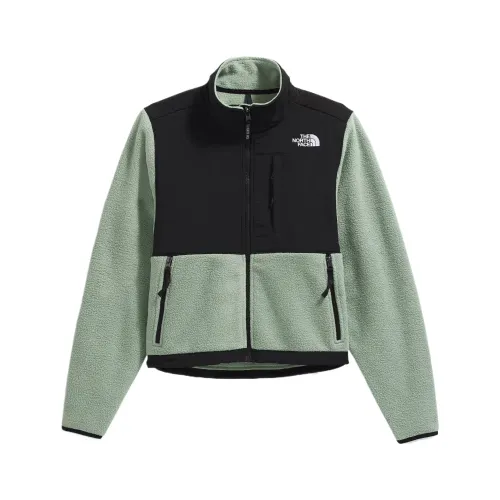 THE NORTH FACE DENALI Jacket Women's