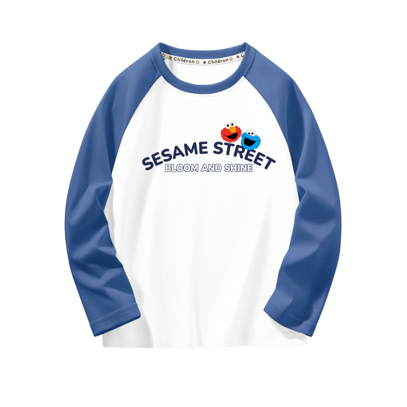 Женская футболка SESAME SESAME STREETT (белый)