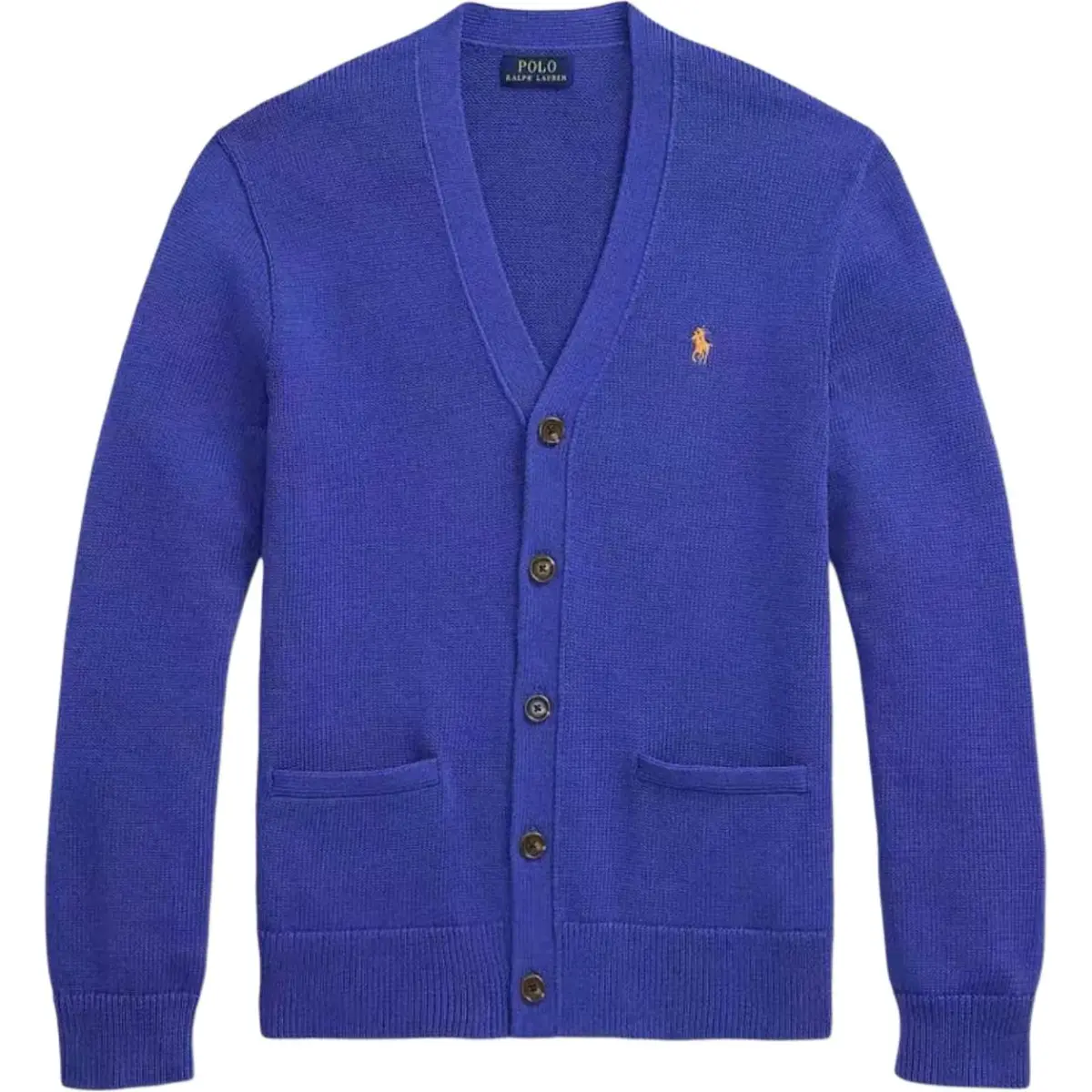 Polo Ralph Lauren FW25 Knitwear Standard Men's Blue