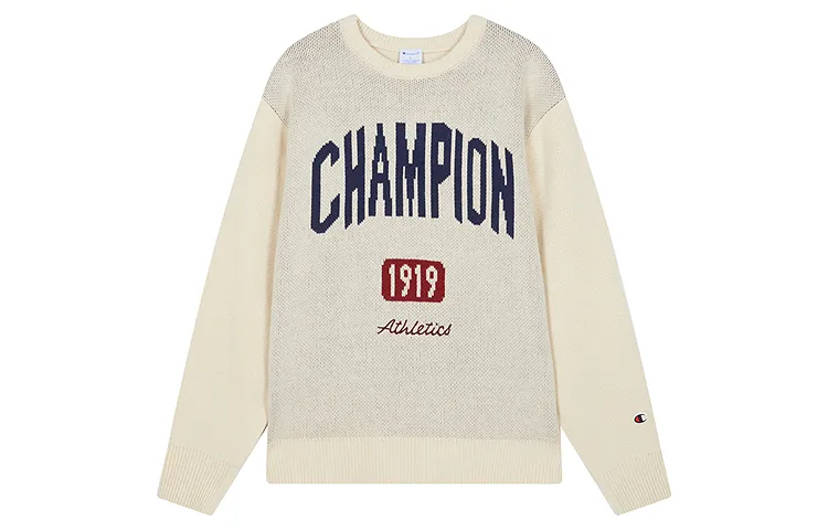 Champion Knitwear Unisex Crew Neck Moderate Other