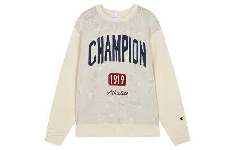 Champion Knitwear Unisex Crew Neck Moderate Other