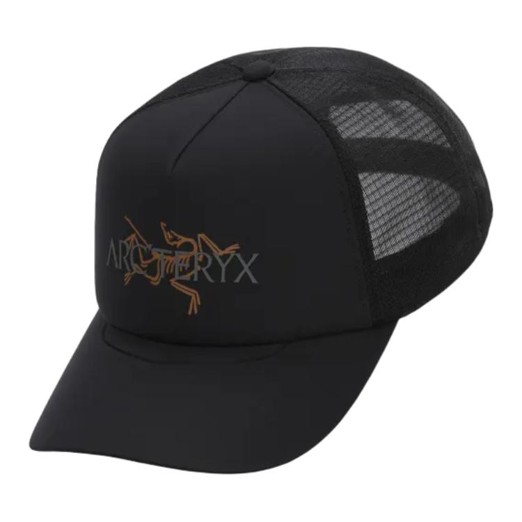 Мужская кепка Arcteryx Модель с логотипом (черная)