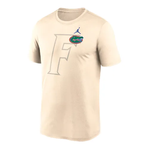 Jordan Florida Campus Legend Shadow Logo Men's Jordan Brand College Pullover Hoodie