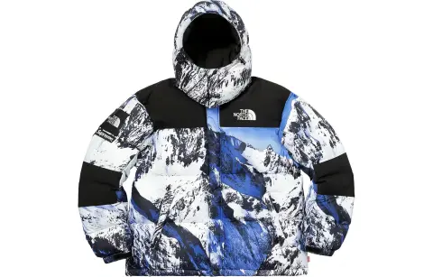 Supreme x THE NORTH FACE Down Jacket Unisex