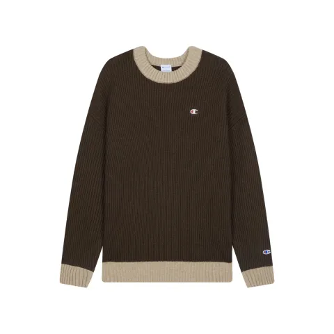 Champion Knitwear Unisex Crew Neck Moderate Other