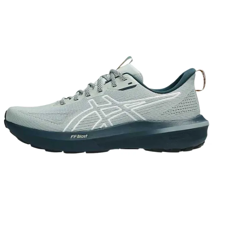 ASICS GT 1000 14 Running Shoes Men's