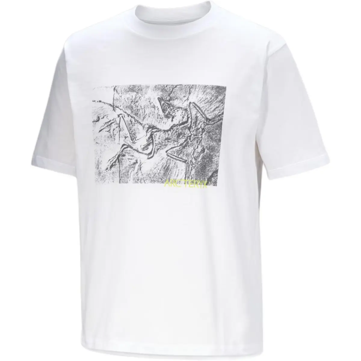 Arcteryx Kragg graphic T-shirt
