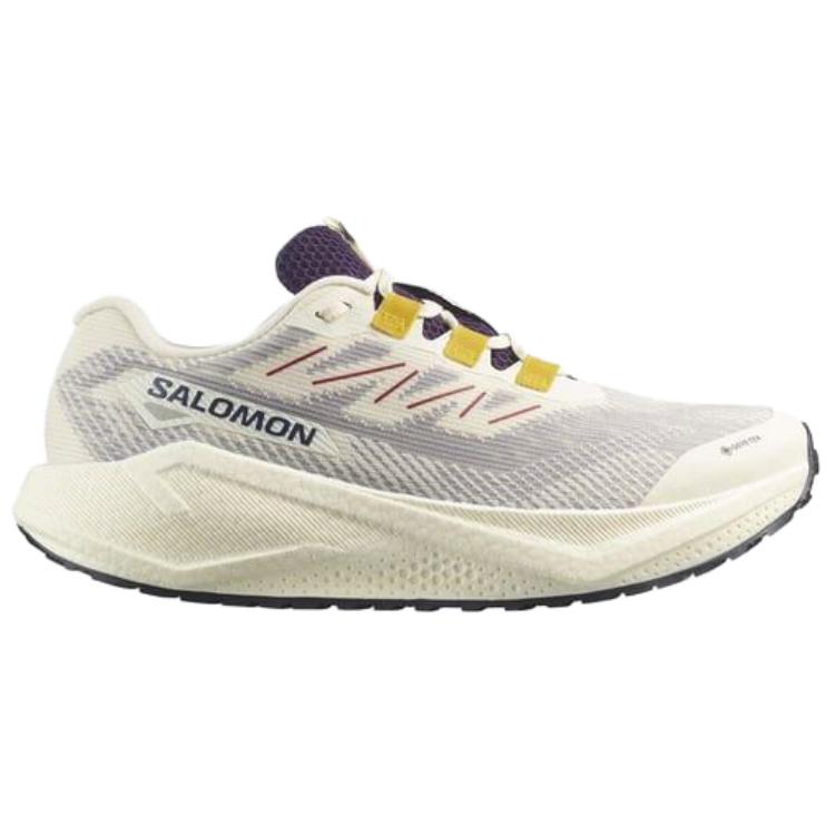 SALOMON AERO BLAZE 3 Trail Running Shoes Men’s White Gray