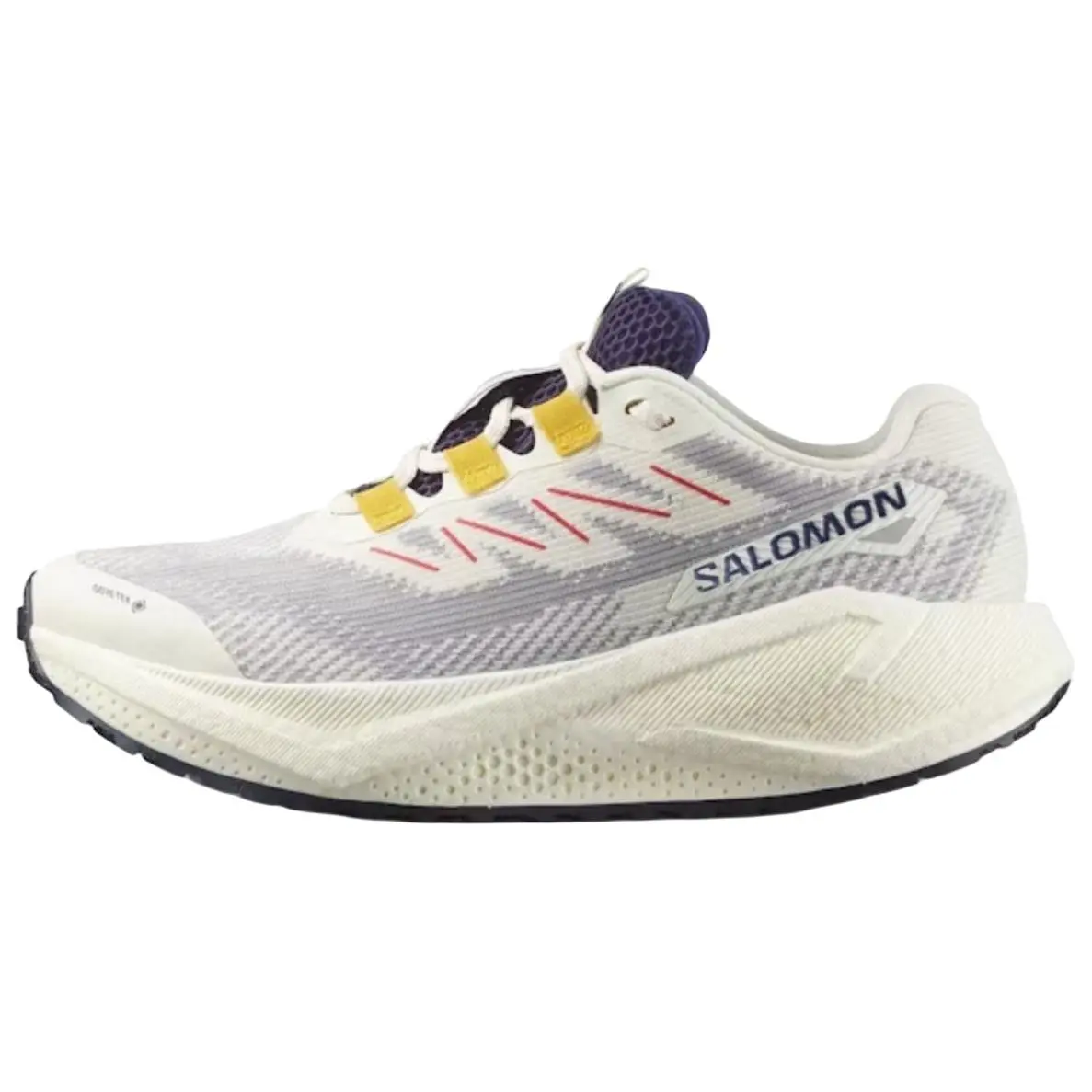SALOMON AERO BLAZE 3 Trail Running Shoes Women's White Gray