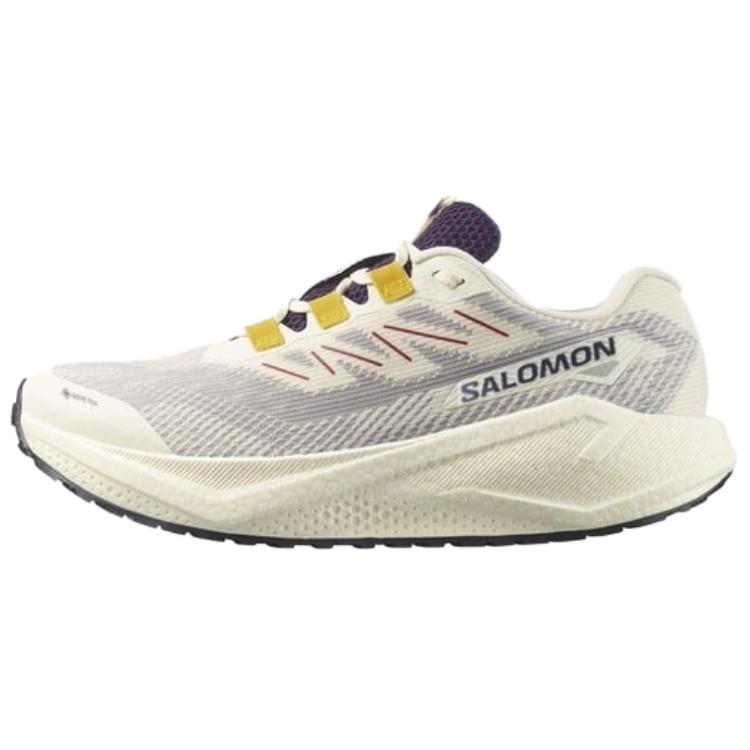 SALOMON AERO BLAZE 3 Trail Running Shoes Men’s White Gray