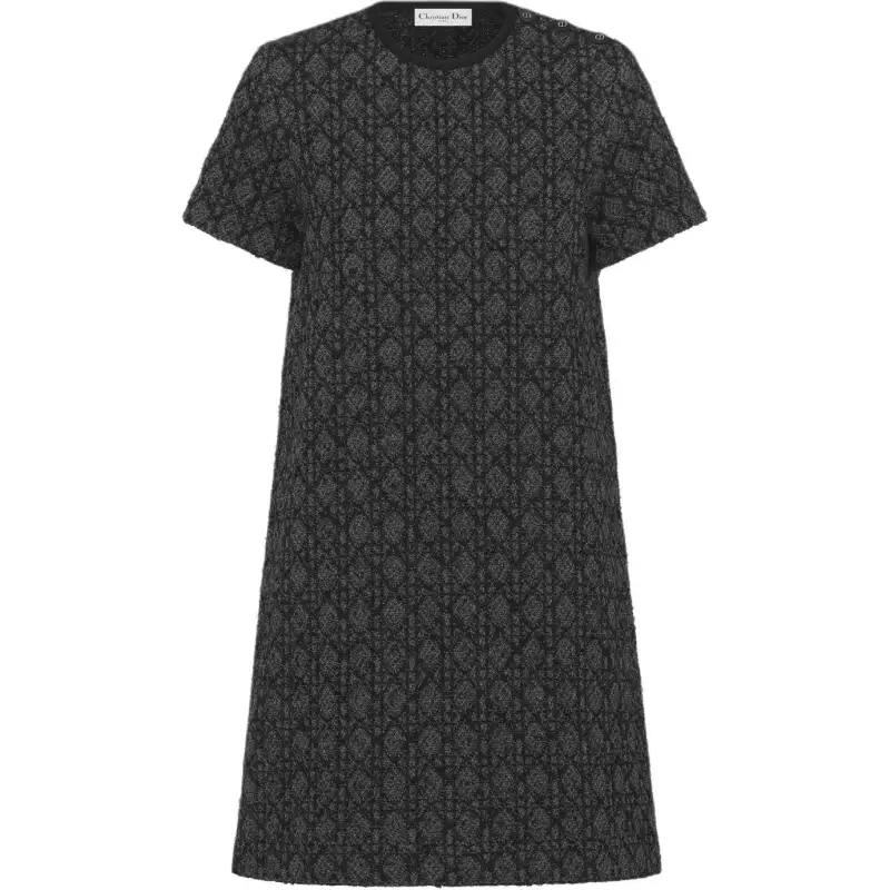 DIOR FW25 Short Sleeved Dress Women's