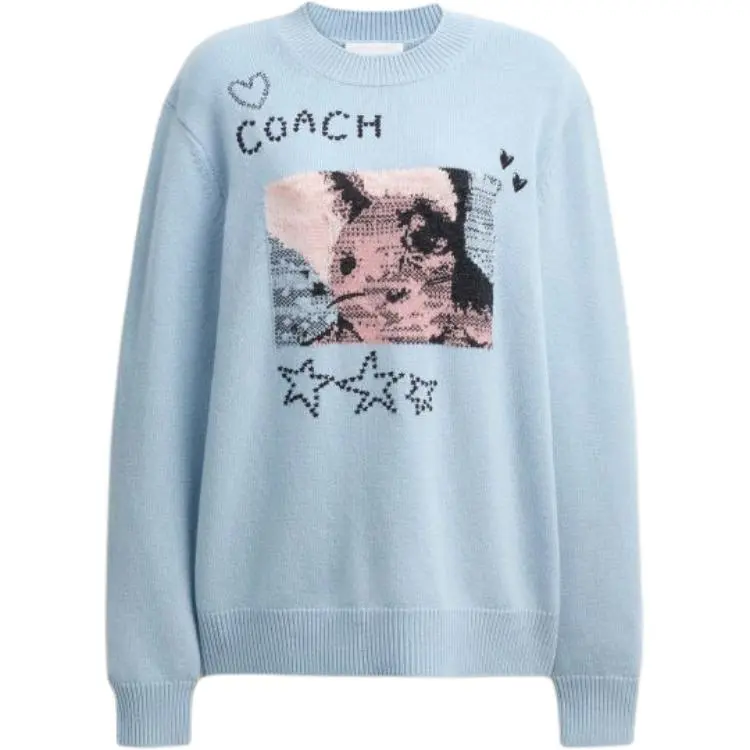 COACH Sweaters Women's Blue Crew Neck Moderate Other