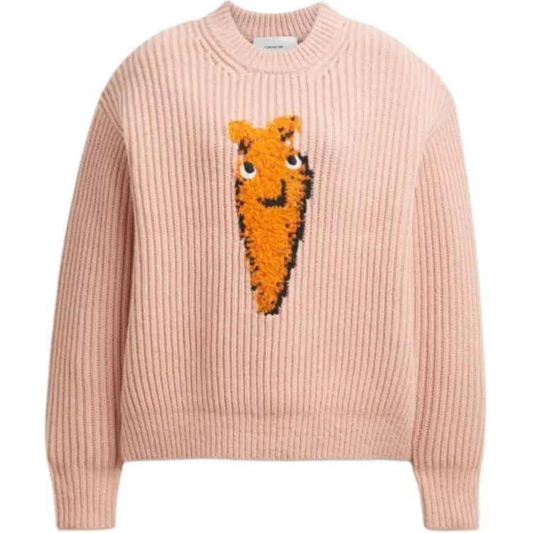 COACH Sweaters Women's Light Orange Crew Neck Moderate Other