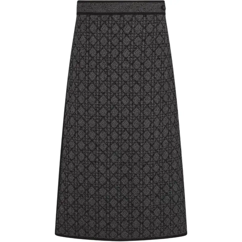 DIOR FW25 Casual Long Skirt Women's