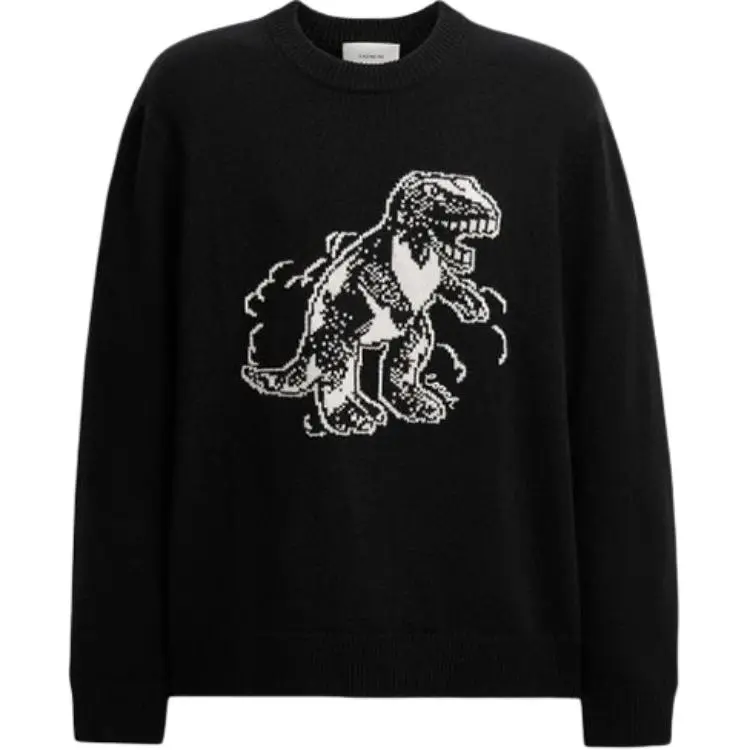 COACH Sweaters Men's Black Crew Neck Moderate Other