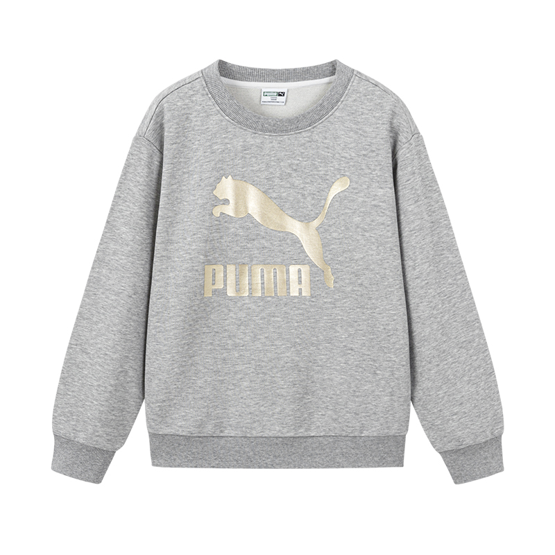 Детская толстовка PUMA PUMA Sportstyle Logo (серая)