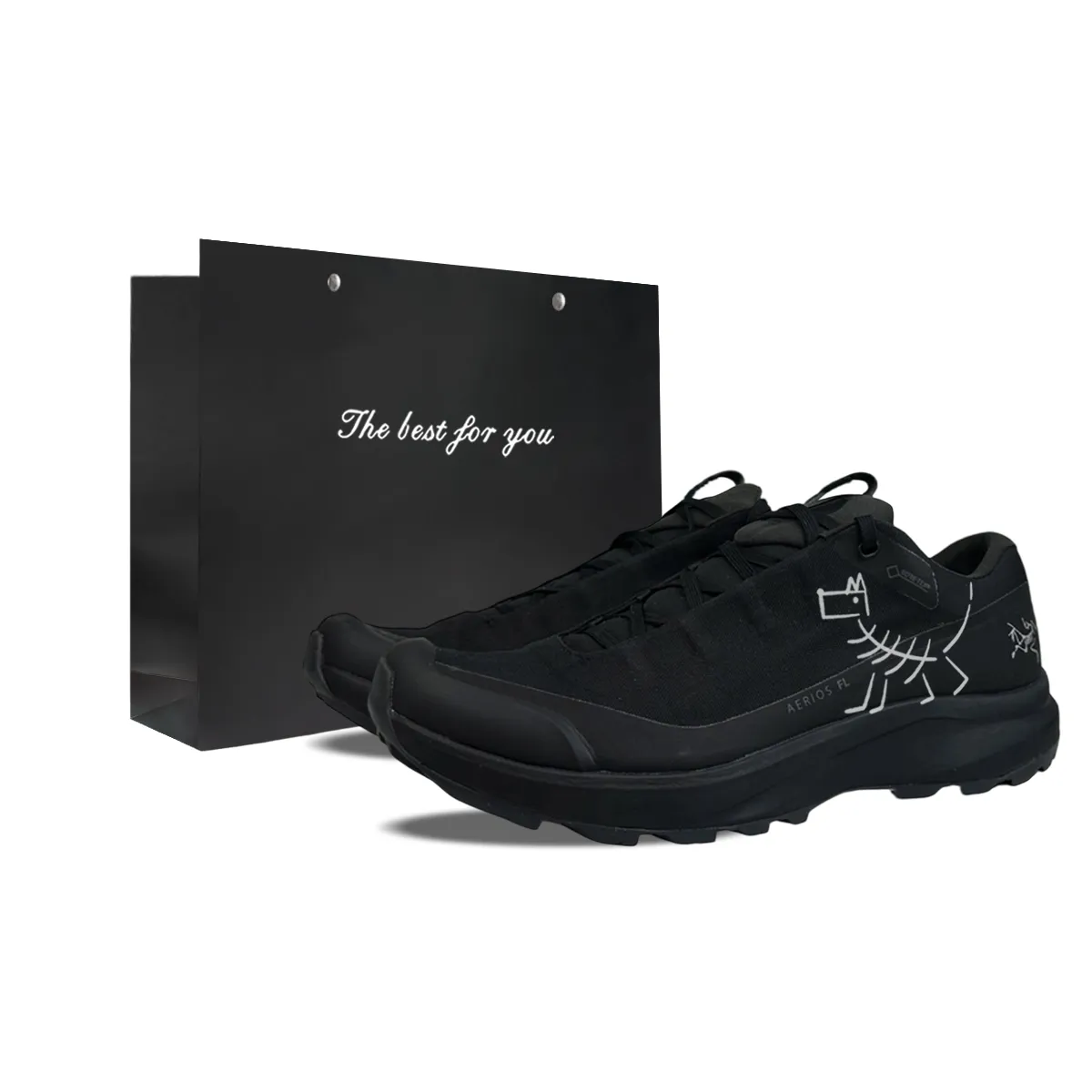 Arc'teryx Aerios FL Low top Casual Trail Running Training City Commuting Running Shoes Men's Black